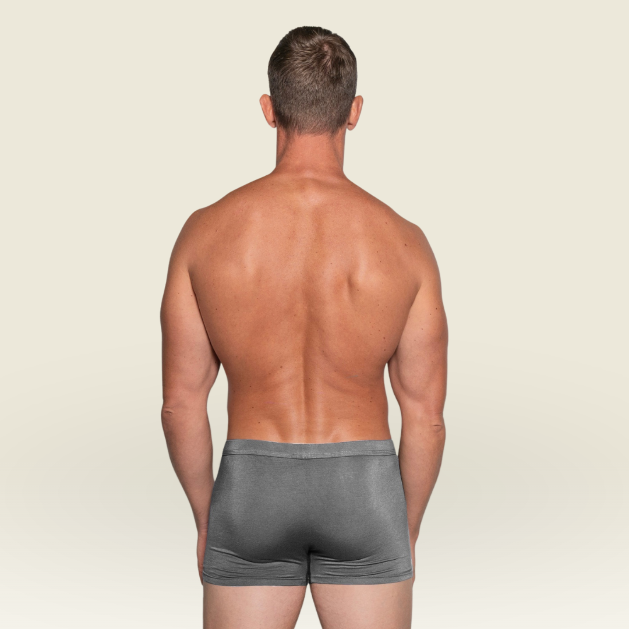 BIOFIT® Essentials Boxer Trunks Grey